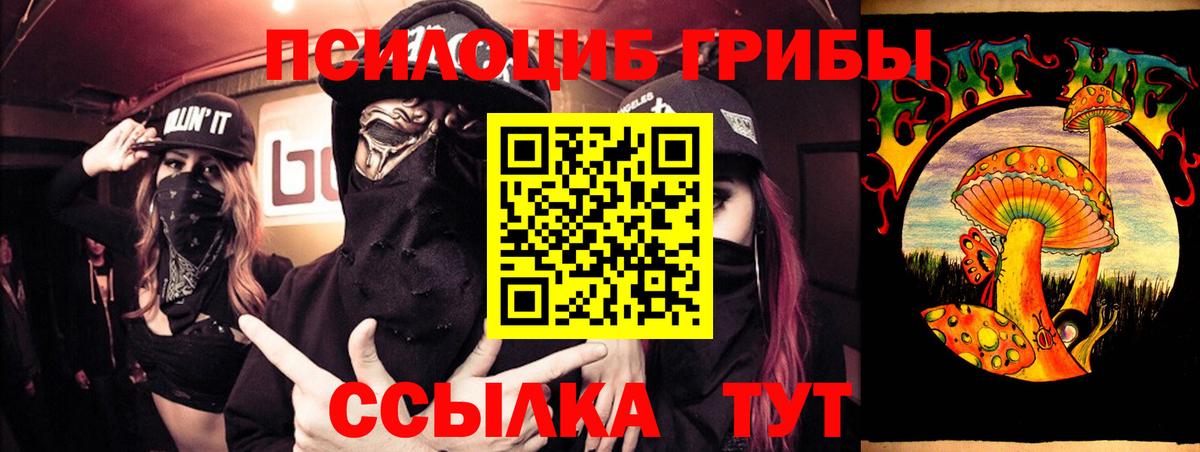 Ленинск-Кузнецкий  Галлюциногенные грибы прущие грибы  сколько стоит  Вход с VPN 